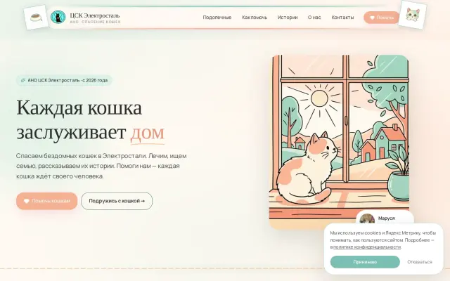 ЦСК «Электросталь» — Помощь бездомным кошкам