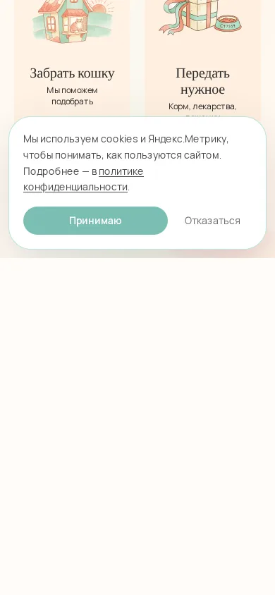 ЦСК «Электросталь» — вид на телефоне