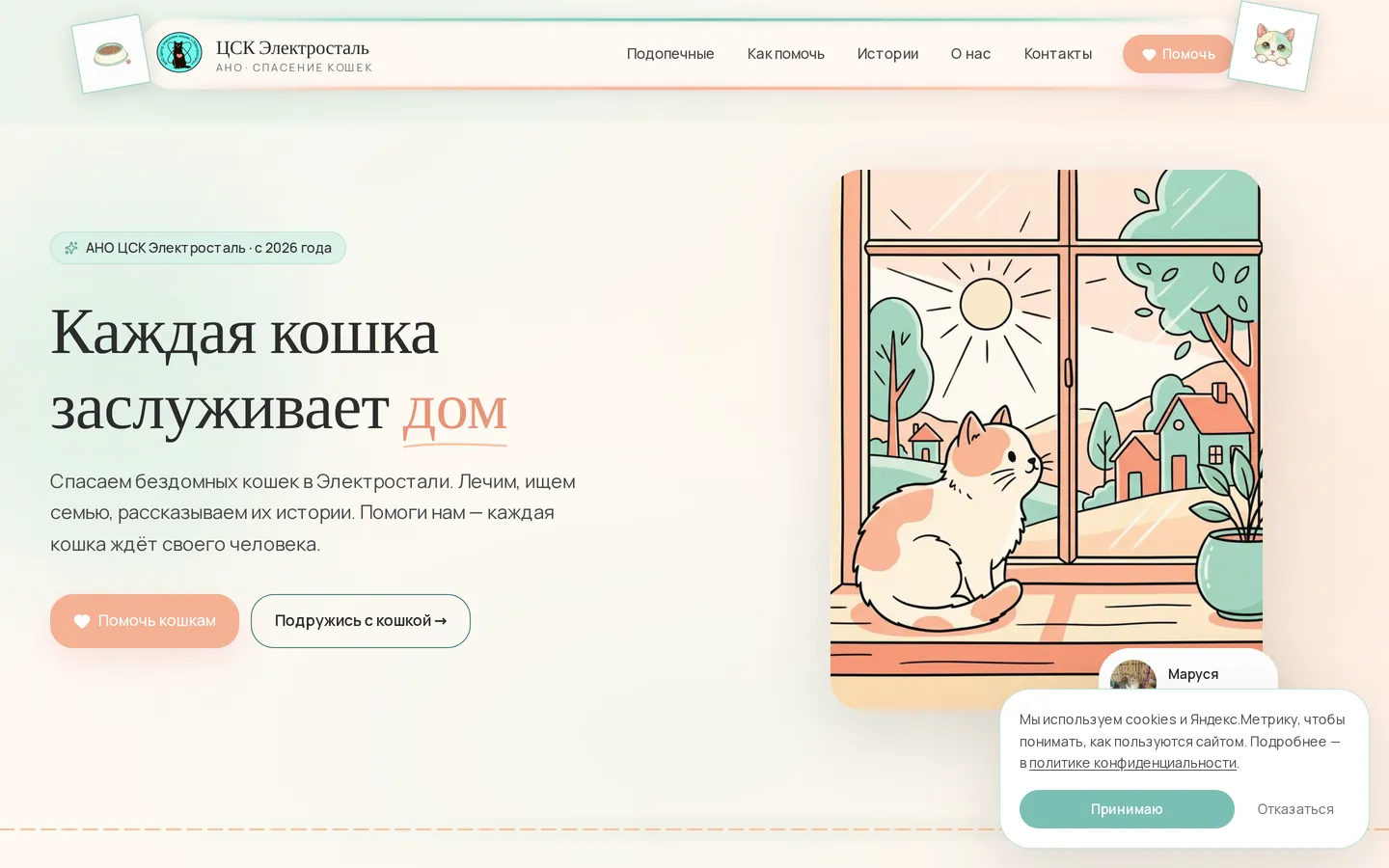 ЦСК «Электросталь» — Помощь бездомным кошкам