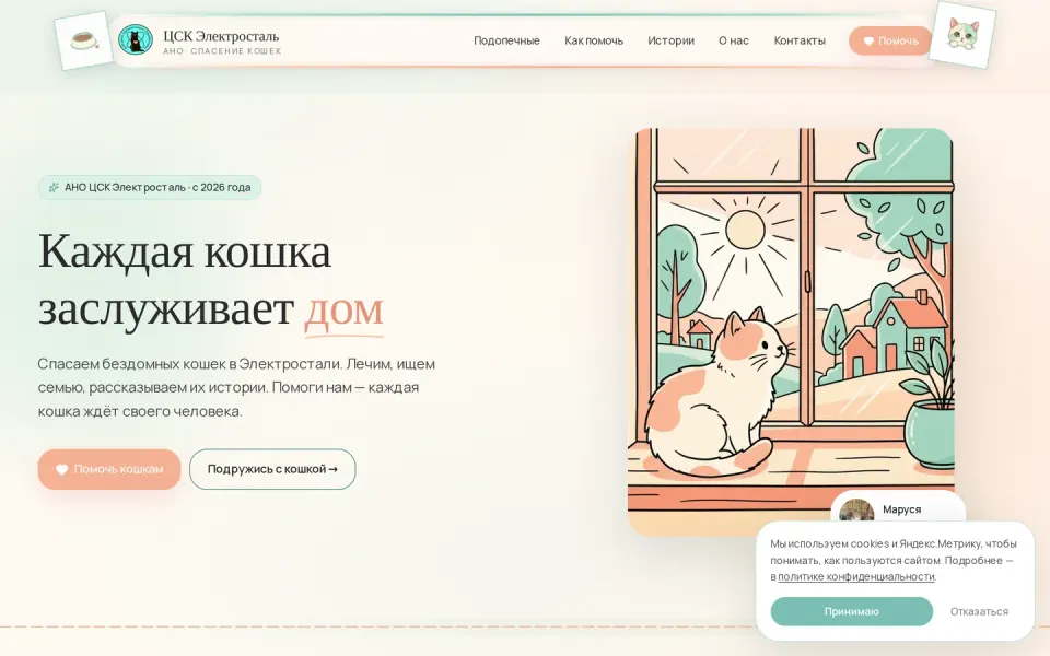 Сайт АНО ЦСК «Электросталь» на своём домене csk-el.ru