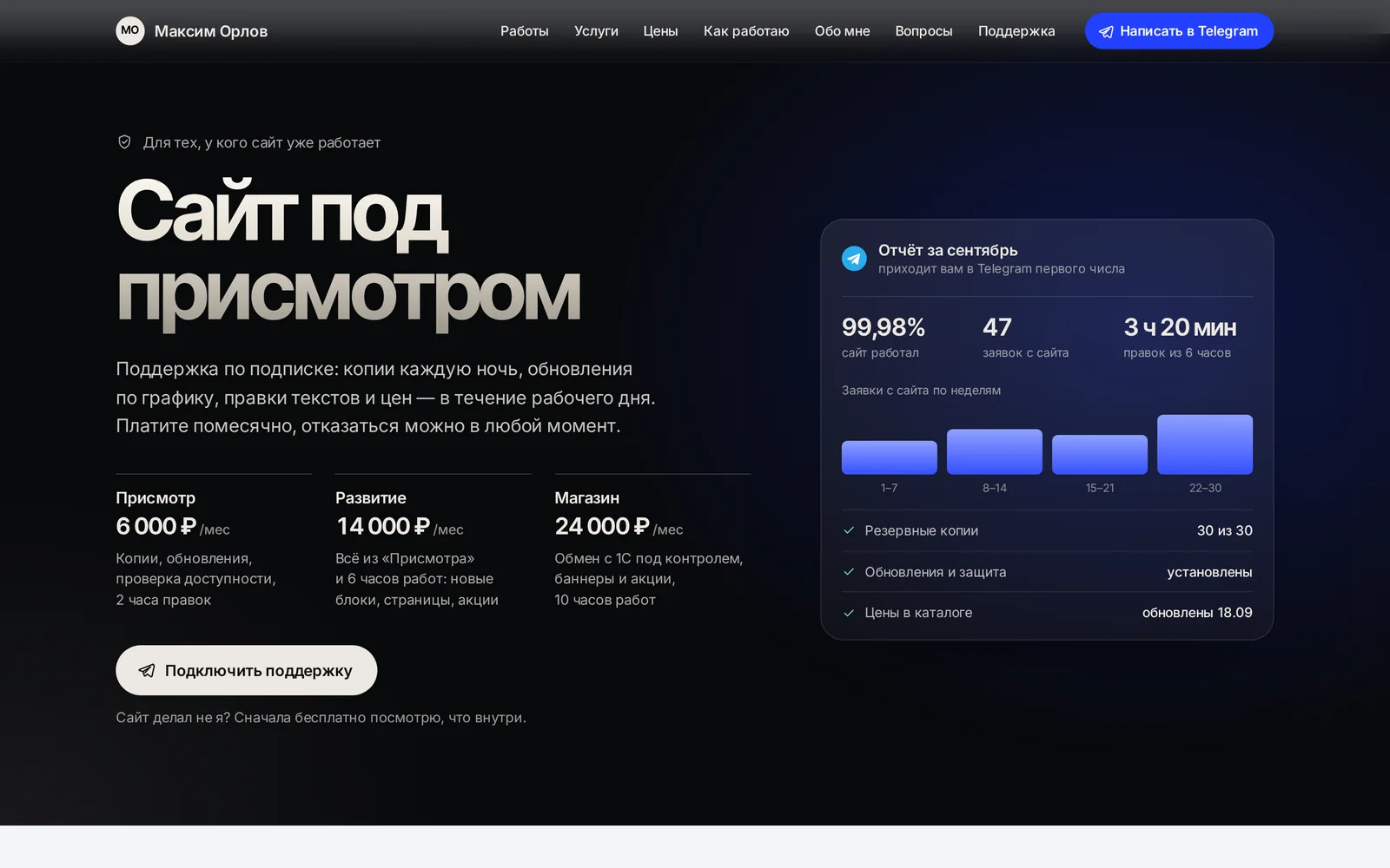 Шаблон «Чистый свет» — снимок 4