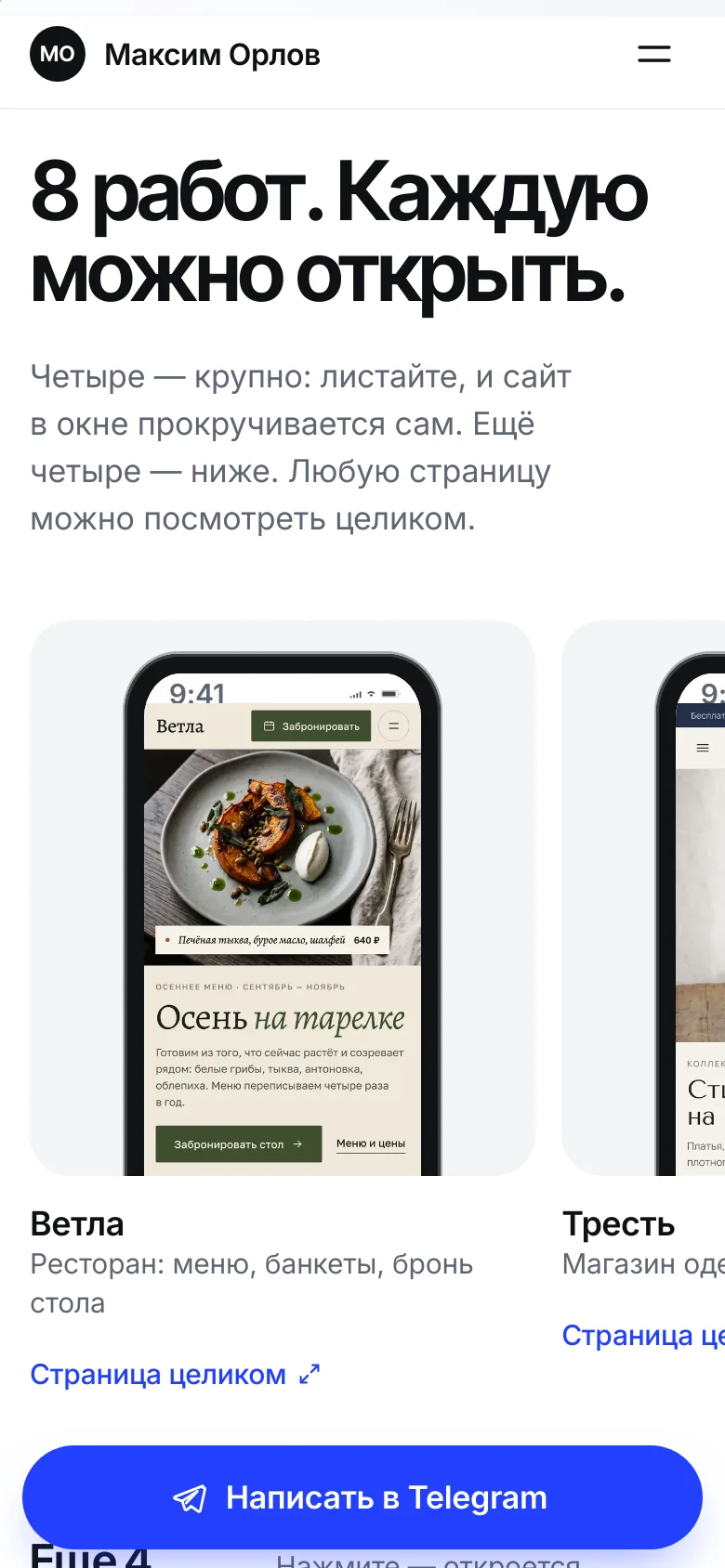 Шаблон «Чистый свет» — снимок 5