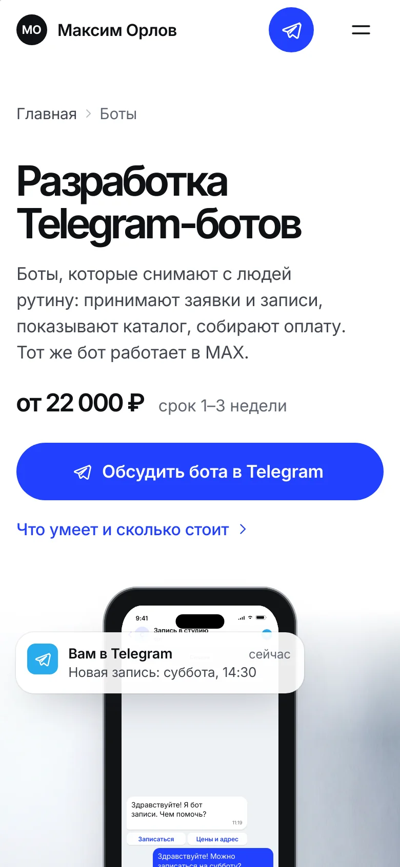 Шаблон «Чистый свет» — снимок 6