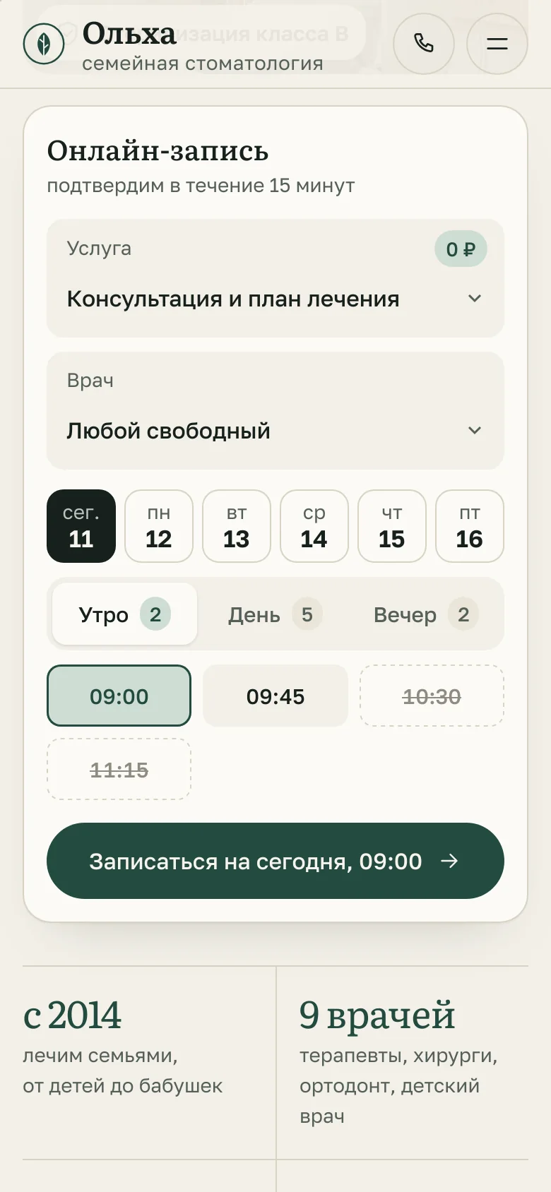 Шаблон «Ольха» — снимок 5