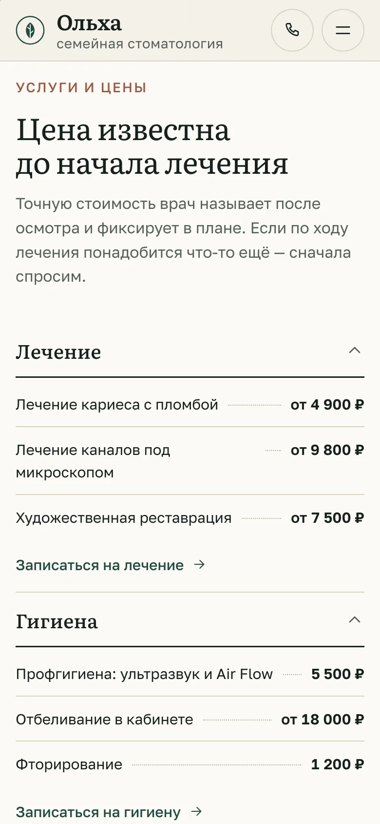 Шаблон «Ольха» — снимок 6