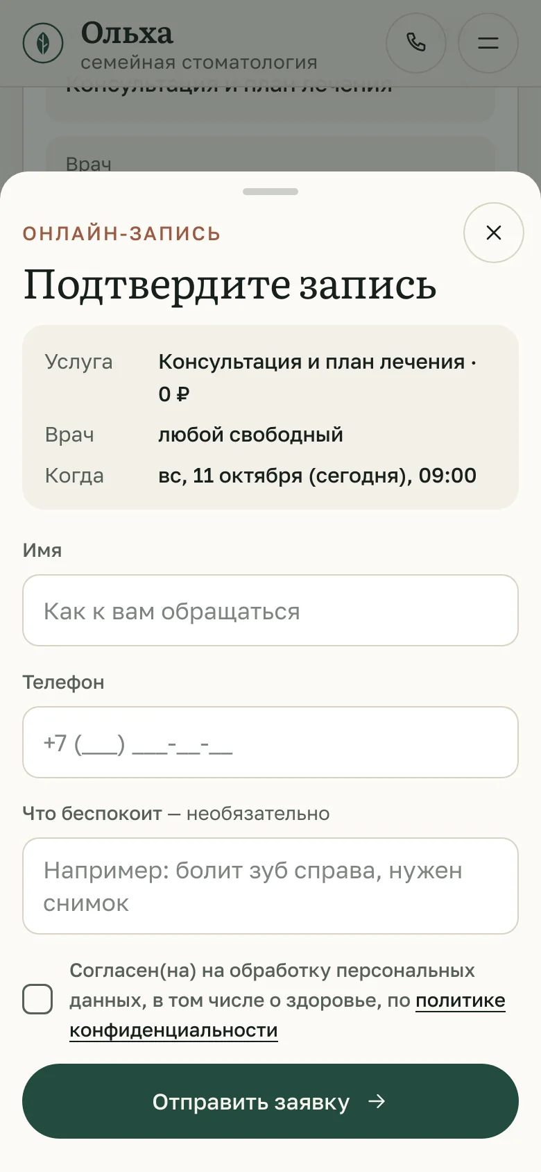 Шаблон «Ольха» — снимок 7