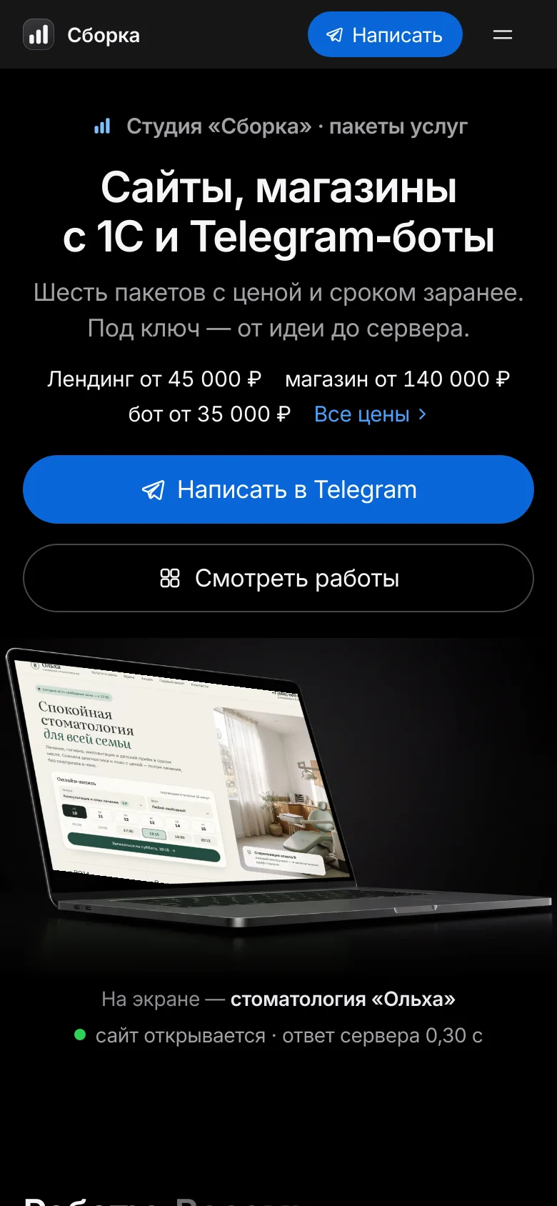 Шаблон «Премиум» на телефоне