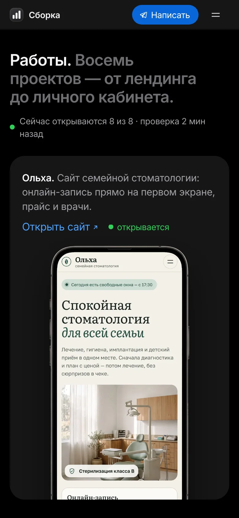 Шаблон «Премиум» — снимок 5