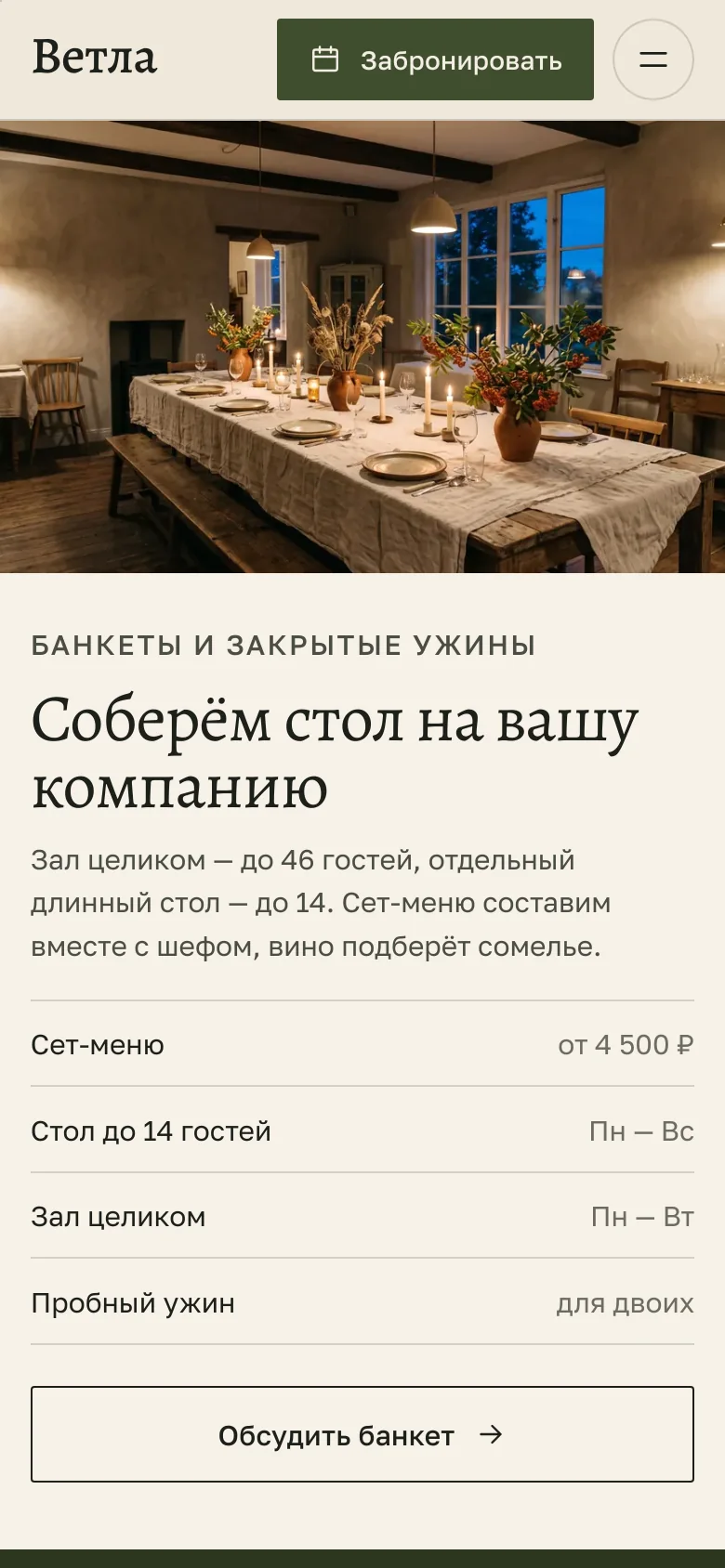 Шаблон «Ветла» — снимок 6